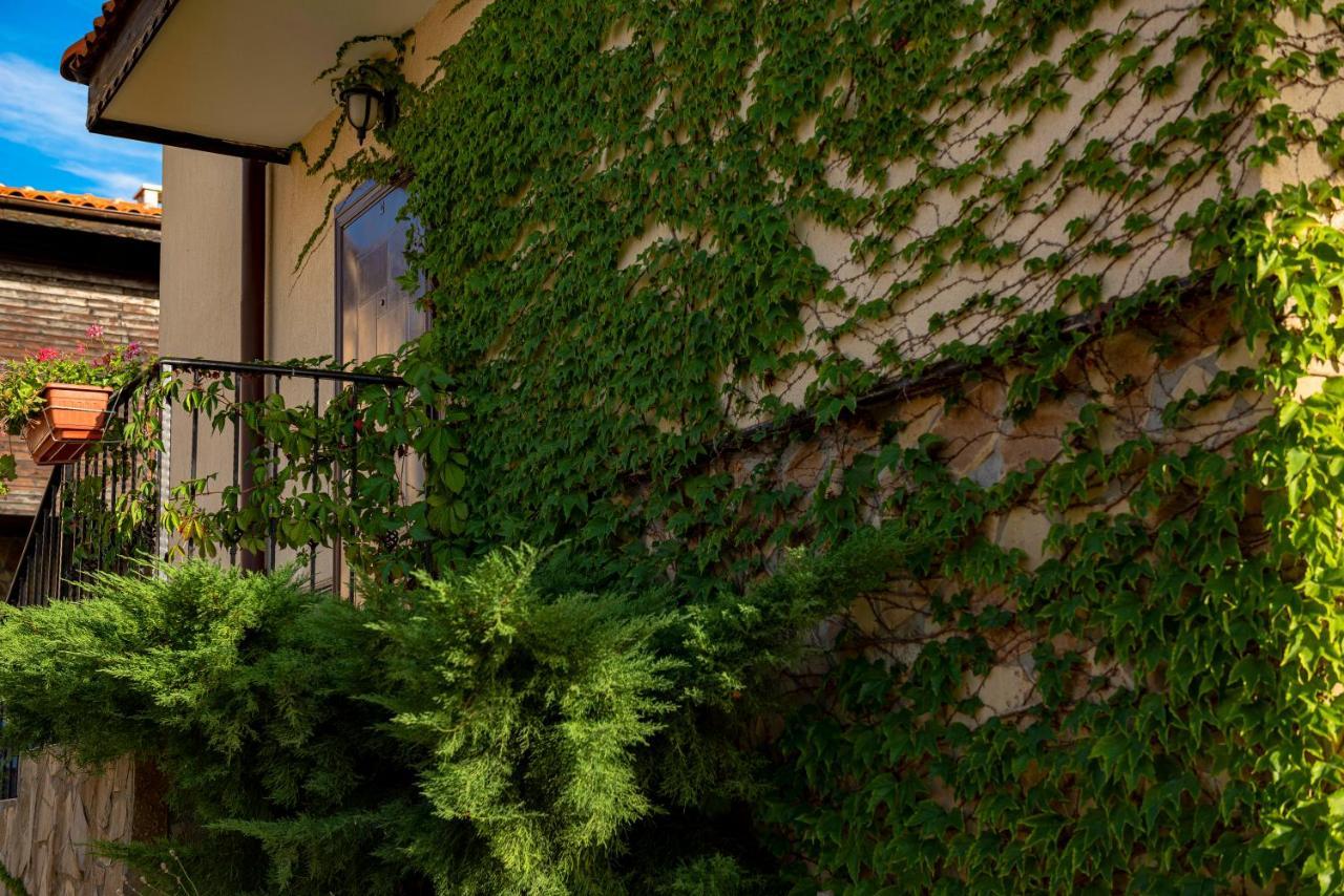 Menada Sunny Hill Villa Kosarica Kültér fotó